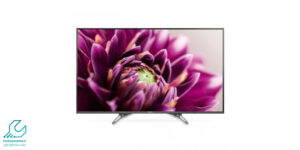 تلویزیون پاناسونیک 49DX650R